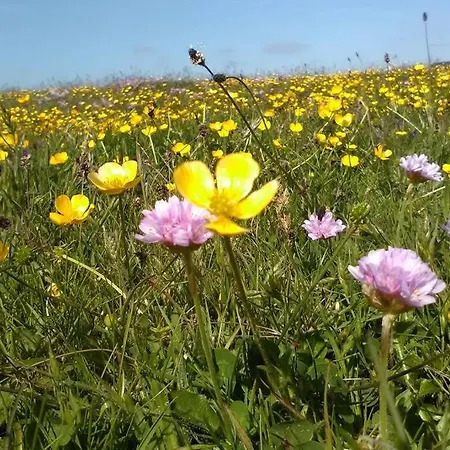 Studio Vogue Au Large