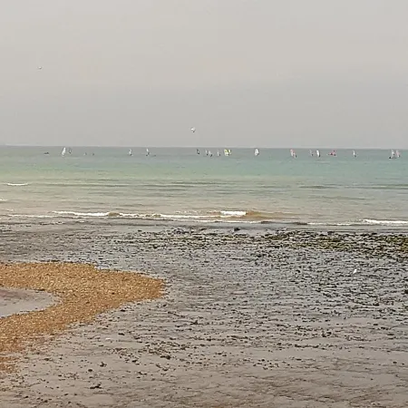 Studio Vogue Au Large 위머로우